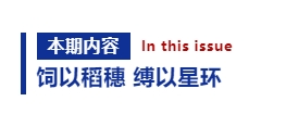 英华校刊 | 第十二期《洞察者》
